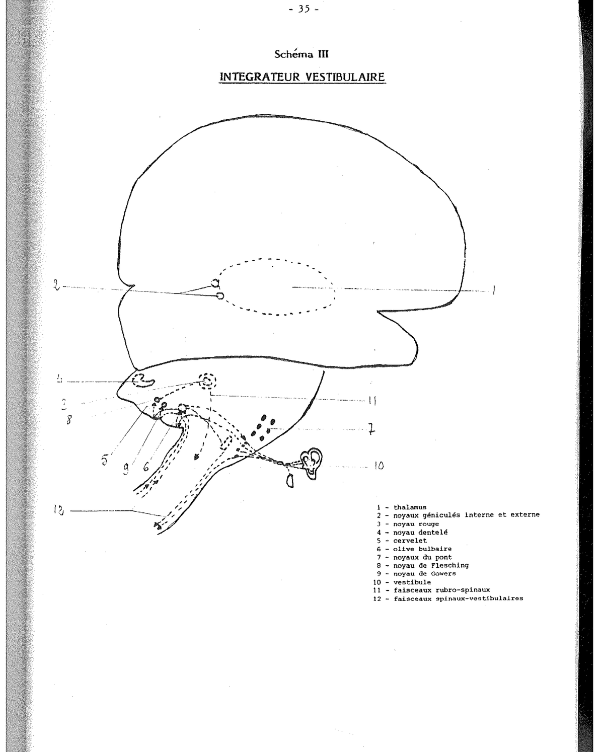 Schéma VII — Synthèse Objet-Corps